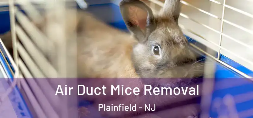 Air Duct Mice Removal Plainfield - NJ