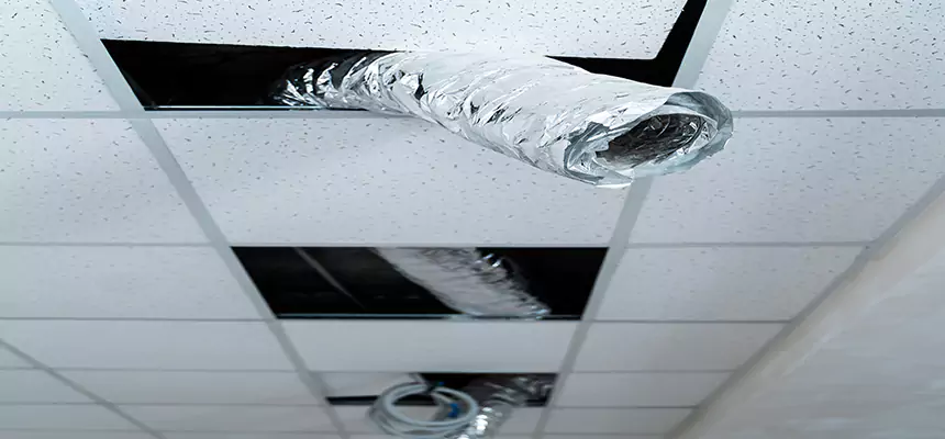 Our Air Duct Pet Hair Removal Services in Plainfield, NJ