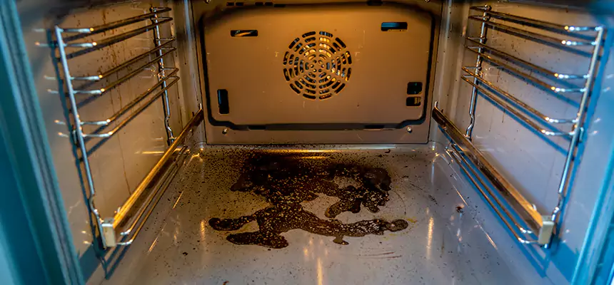 Our Dryer Vent Mold Cleaning Services in Plainfield, NJ