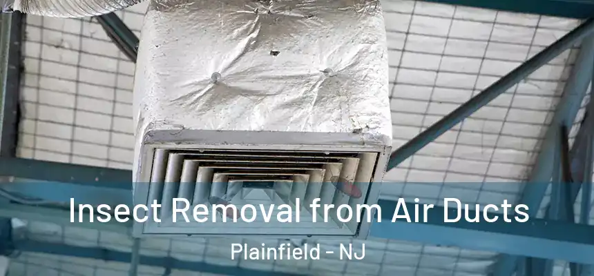 Insect Removal from Air Ducts Plainfield - NJ