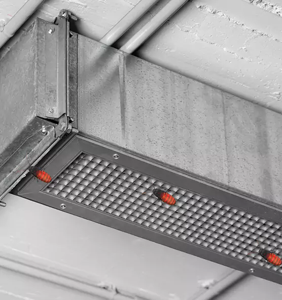 About Air Duct Cockroach Removal in Plainfield, NJ
