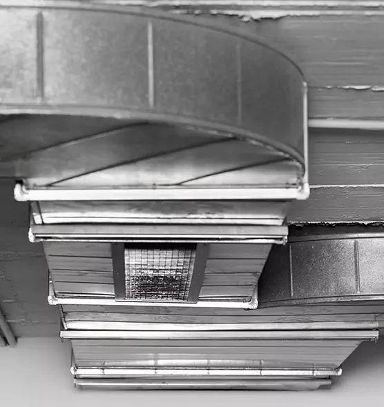 Professional Air Duct Pest Removal in Plainfield, NJ