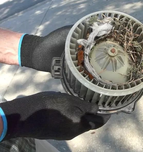 About Air Duct Rat Removal in Plainfield, NJ