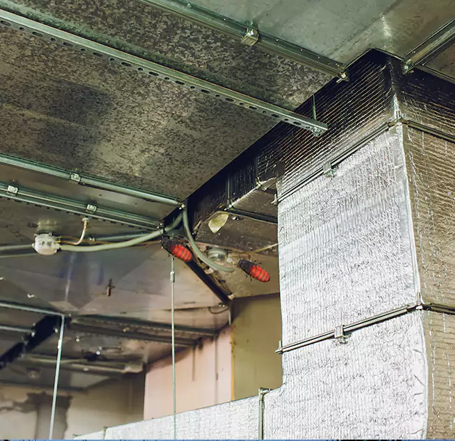 Why Homeowners & Businesses Trust Us in Plainfield, NJ?