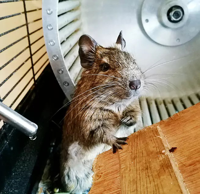 Why Homeowners & Businesses Trust Us Plainfield, NJ