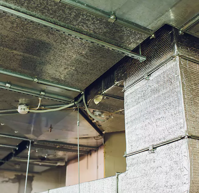 Why Homeowners & Businesses Trust Us in Plainfield, NJ?